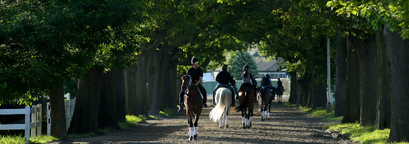 2022 Belmont Stakes Odds, Picks, Betting Analysis: Creative Minister - Vimarsana News