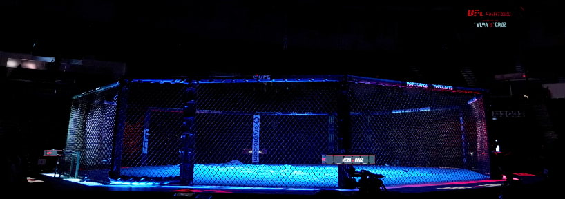 UFC Fight Night Strickland vs Imavov: Parlay Odds, Picks & Predictions (2023)